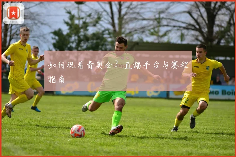 如何观看青奥会？直播平台与赛程指南