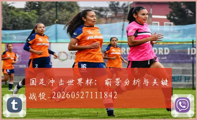 国足冲击世界杯:前景分析与关键战役_20260527111842