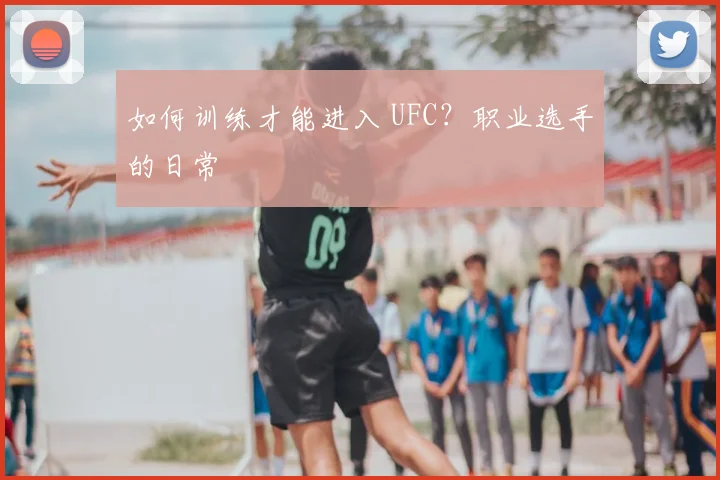 如何训练才能进入 UFC？职业选手的日常