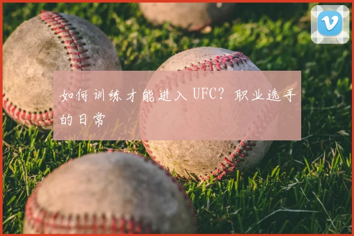 如何训练才能进入 UFC？职业选手的日常